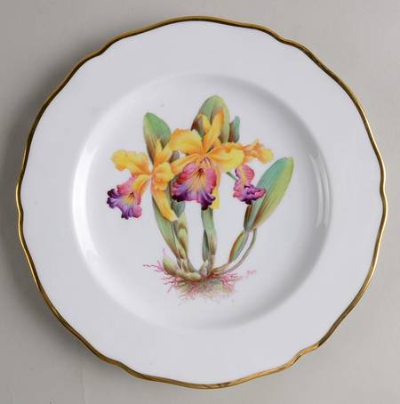 Y5552 (Scalloped) Luncheon Plate