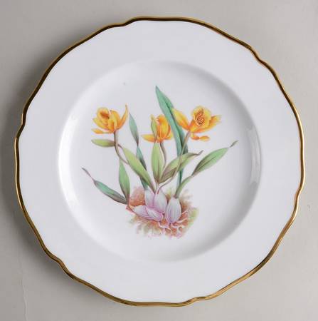 Y5552 (Scalloped) Luncheon Plate