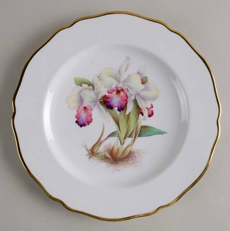 Y5552 (Scalloped) Luncheon Plate