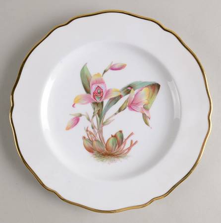 Y5552 (Scalloped) Luncheon Plate