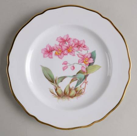 Y5552 (Scalloped) Luncheon Plate