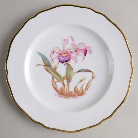 Y5552 (Scalloped) Luncheon Plate