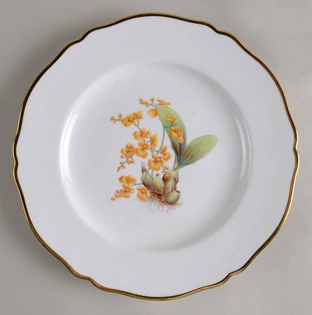 Y5552 (Scalloped) Dinner Plate