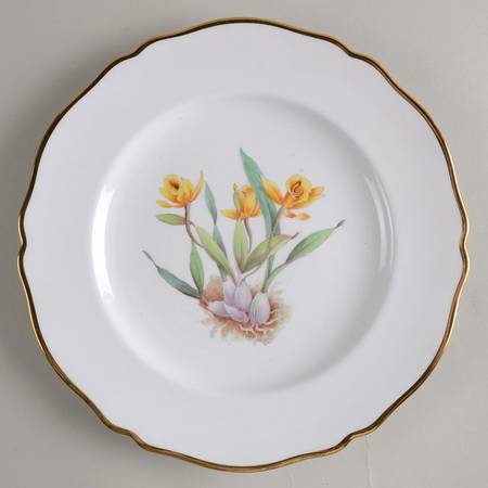 Y5552 (Scalloped) Dinner Plate