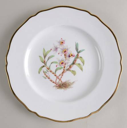 Y5552 (Scalloped) Dinner Plate