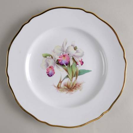 Y5552 (Scalloped) Dinner Plate
