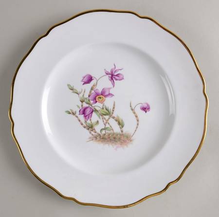 Y5552 (Scalloped) Dinner Plate