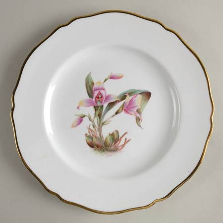 Y5552 (Scalloped) Dinner Plate
