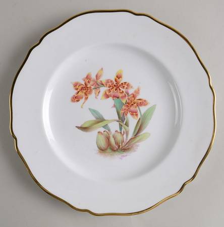 Y5552 (Scalloped) Dinner Plate