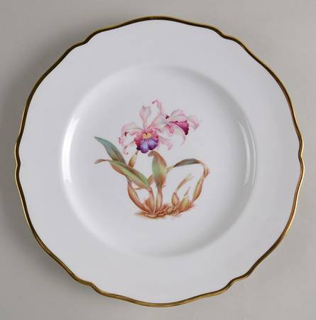 Y5552 (Scalloped) Dinner Plate