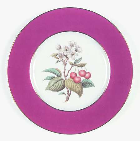 Y6236 Dinner Plate