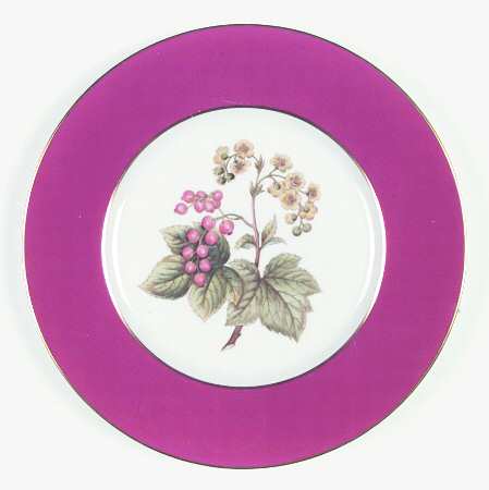 Y6236 Dinner Plate