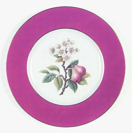 Y6236 Dinner Plate