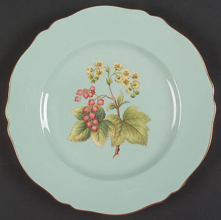 Y6630 Dinner Plate