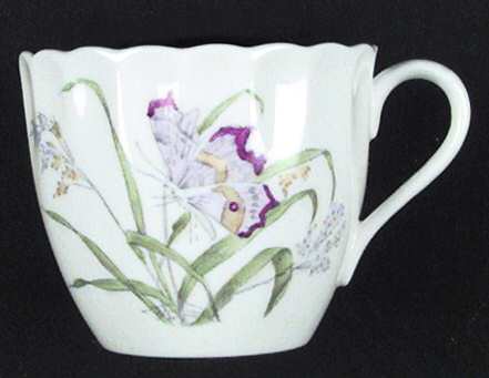 Y7531 Flat Cup