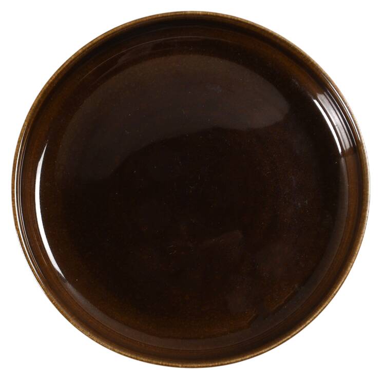 American Modern Black Chutney Child's Plate