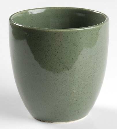 American Modern Cedar Green Tall China Tumbler