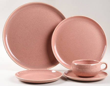 American Modern Coral 5 Piece Place Setting