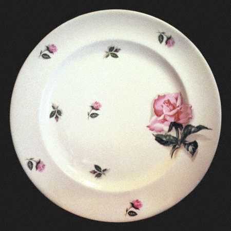 STB51 Dinner Plate