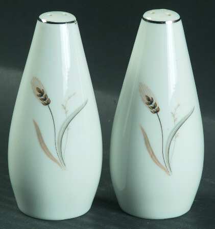 Simplicity Salt & Pepper Set by Style House
