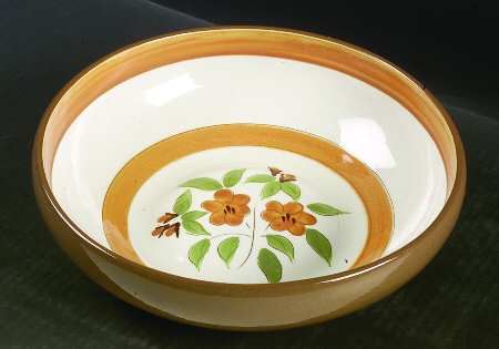 Bittersweet 10" Large Salad Serving Bowl