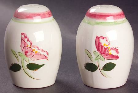 Wild Rose Salt & Pepper Set by Stangl