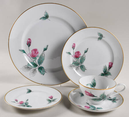 Sonata 5 Piece Place Setting