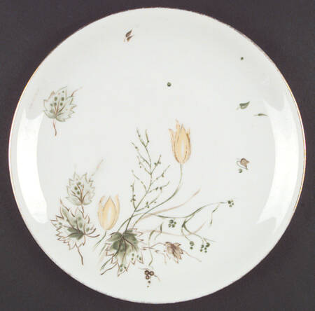 Dinner Plate
