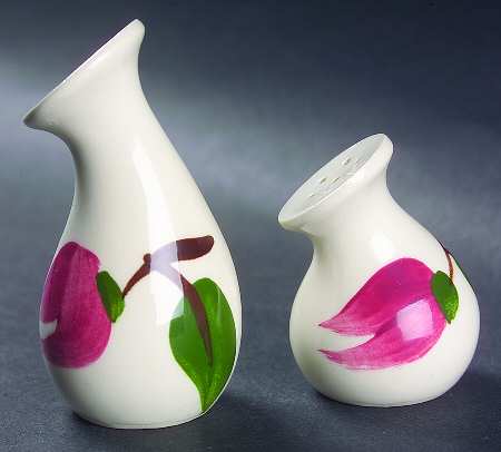 Meadow Rose Salt & Pepper Set