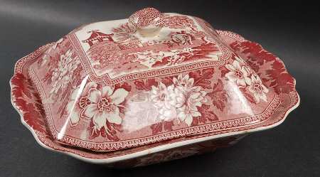 STV1 Pink Square Covered Vegetable