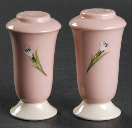 Garden Pinks Pink Salt & Pepper Set