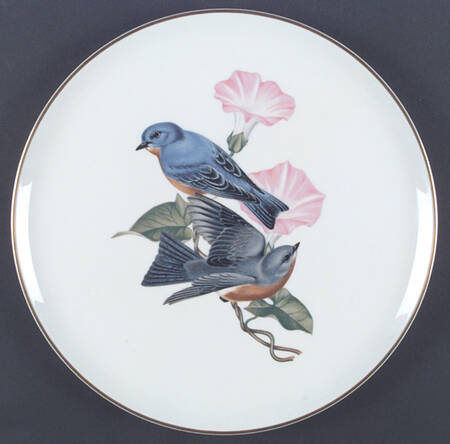 American Song Birds Series Dinner Plate