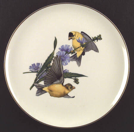 American Song Birds Series Dinner Plate