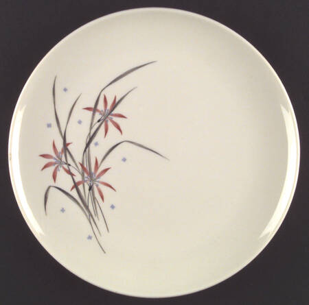 Flame Lily by Syracuse