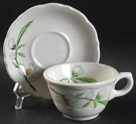 Park Lane Flat Cup & Saucer Set