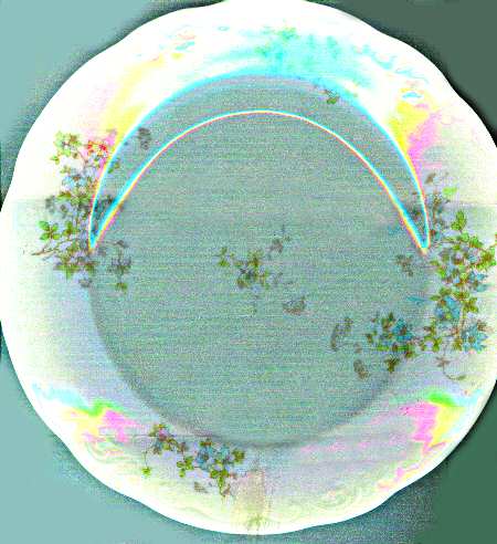 50208 Dinner Plate