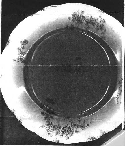 SY21 by Syracuse