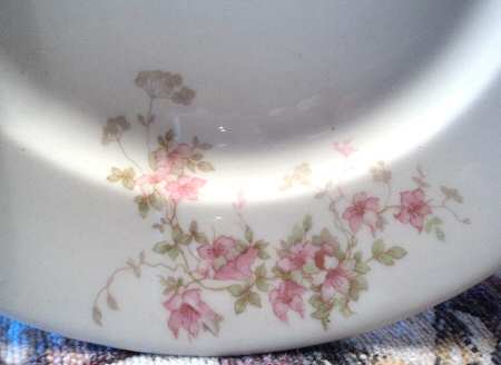 SY213 Dinner Plate