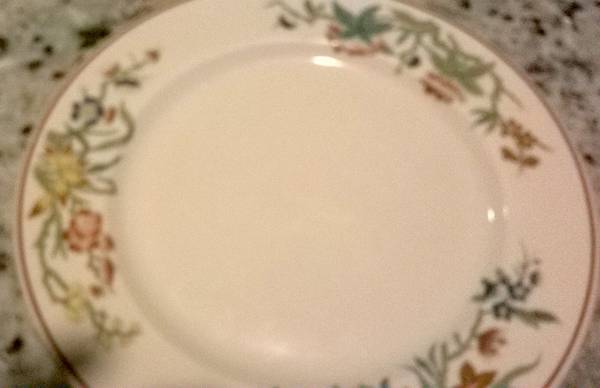 SY77 Dinner Plate