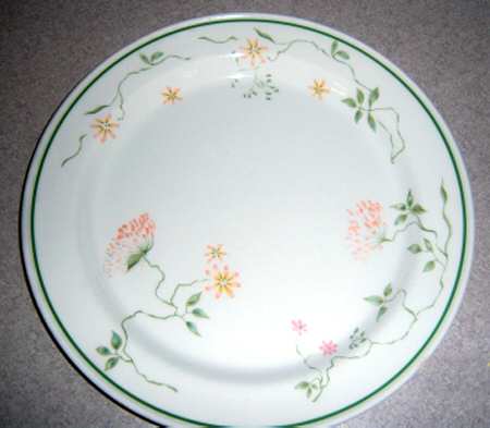 SLE5 Dinner Plate
