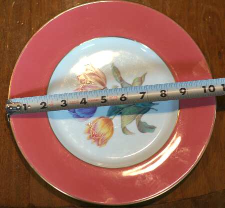 Y544 Dinner Plate