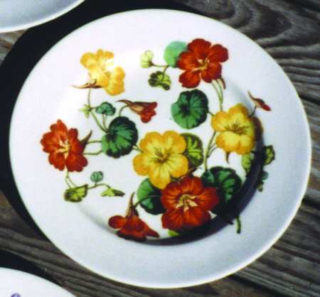 Nasturtium by Spode