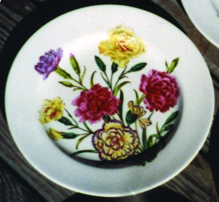 Carnation by Spode