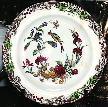 Carnation by Spode