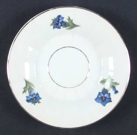 19289 Saucer