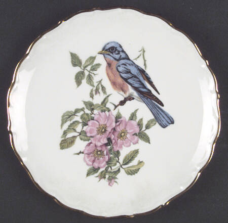 SCH147 Salad Plate