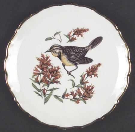 SCH147 Salad Plate