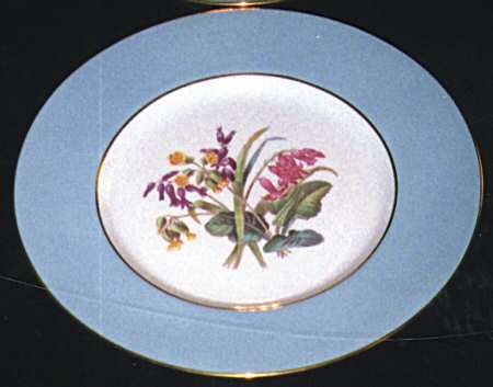 Garden Rose Dinner Plate