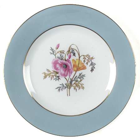Garden Rose by Spode