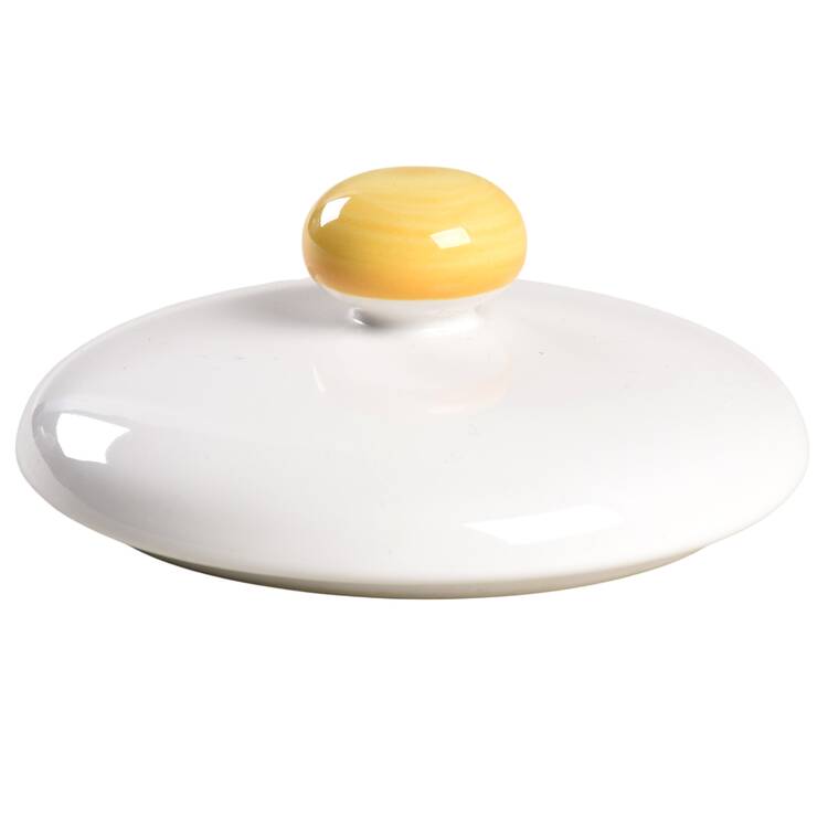 Skylight Lid for Medium Canister
